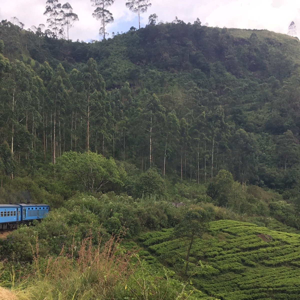 Sri Lanka|Moving Around: Train, Bus and Tuk-tuking