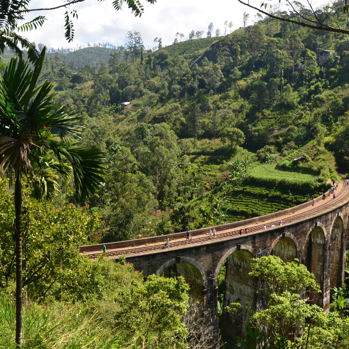 Sri Lanka|Tea Country: Hiking Around Elle