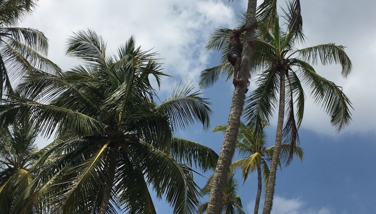 20180210_060112816_iOS