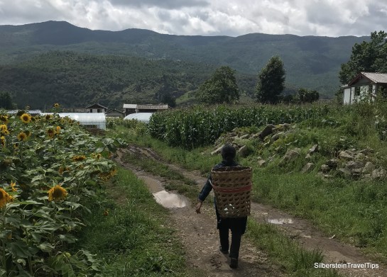 20180808_071422458_iOS