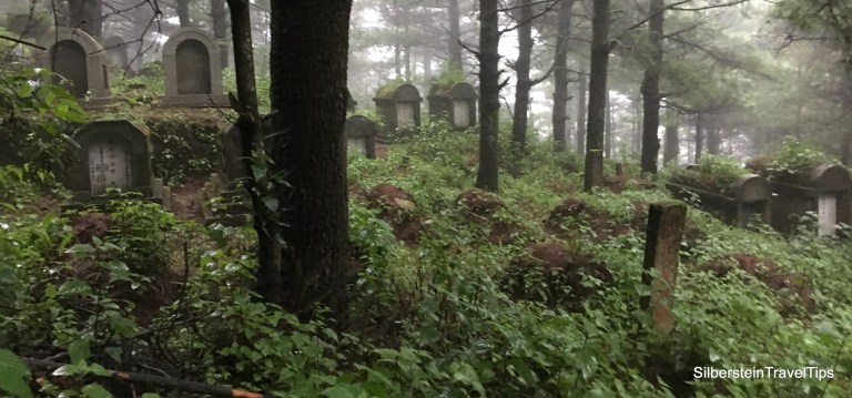 20180811_102758638_iOS