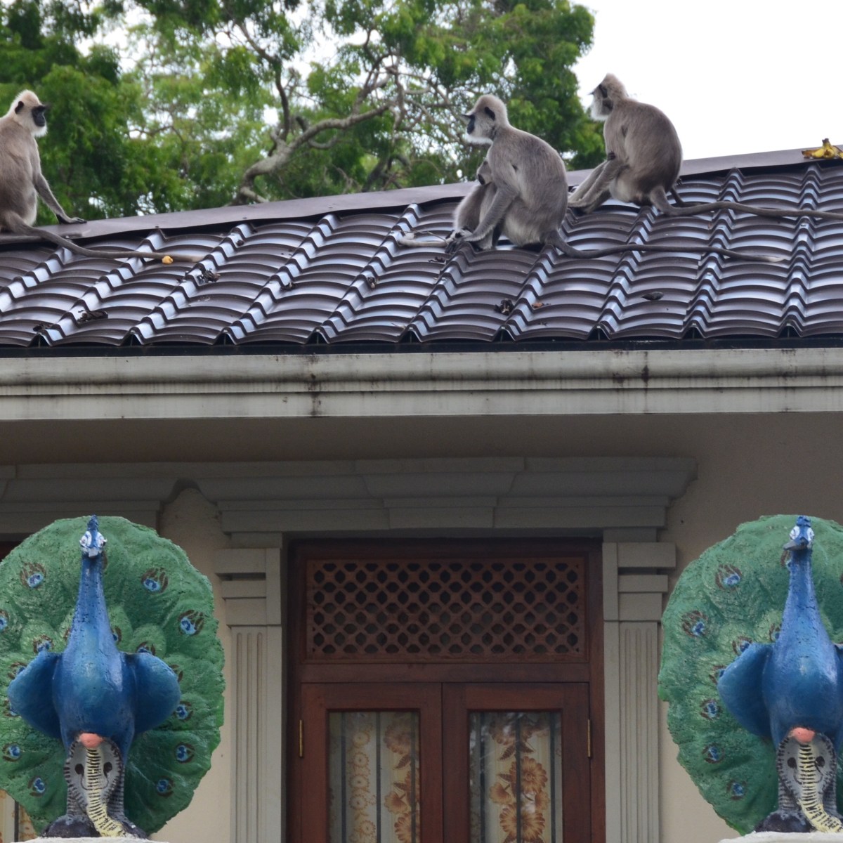 Sri Lanka | Kataragama: A Sacred Temple Place Near Tissamaharama