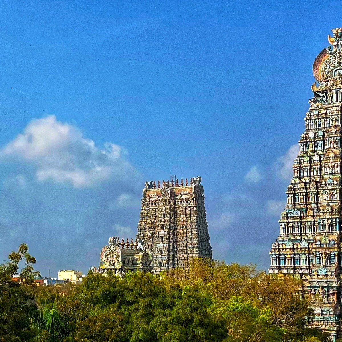 Indie | Tamil Nadu, czyli kolorowy świat monumentalnych świątyń