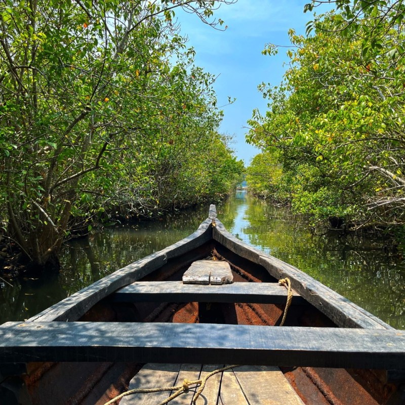 Indie | Kerala i labirynt kanałów na Munroe Island